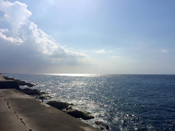 84A2FD80-A121-4EA4-860D-B5B9B93C1330