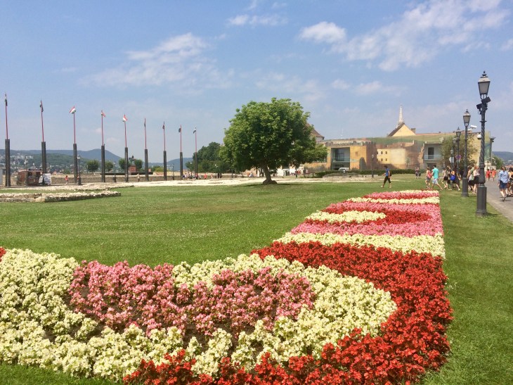 8D15403A-00DA-4AC1-8D3C-CB361AC35686