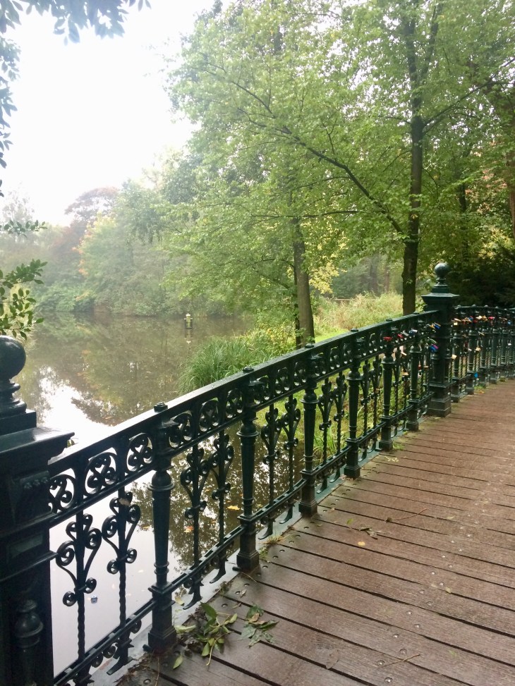 95C4473B-D62C-464B-9768-2D260E90E5A0