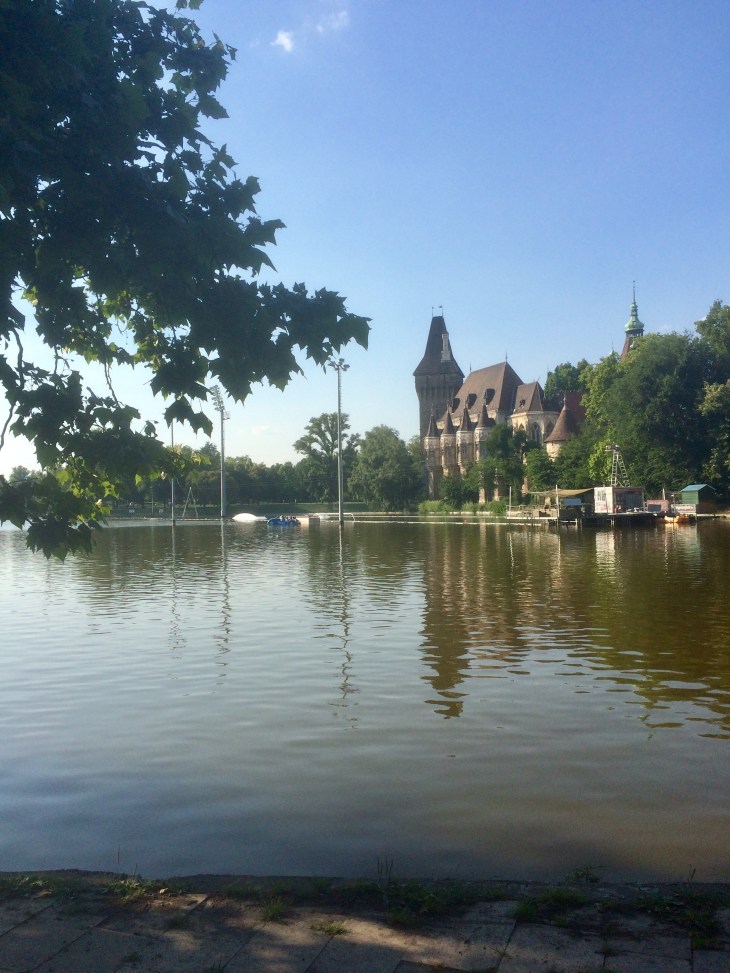 F46E3525-4FBD-4C0E-9363-7916F5D1B399