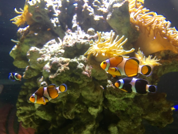 0322A24F-B069-401E-B934-266B65C60F5A