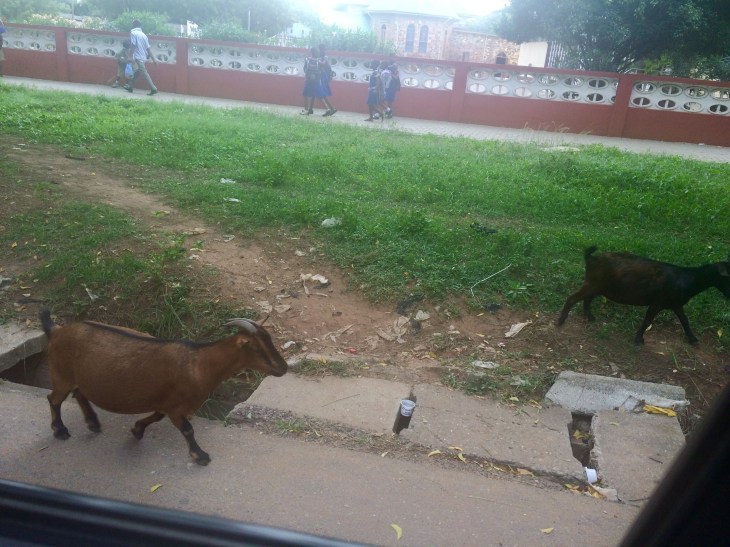 5DF1516C-7E0D-43C0-A43C-1072BF4896E1