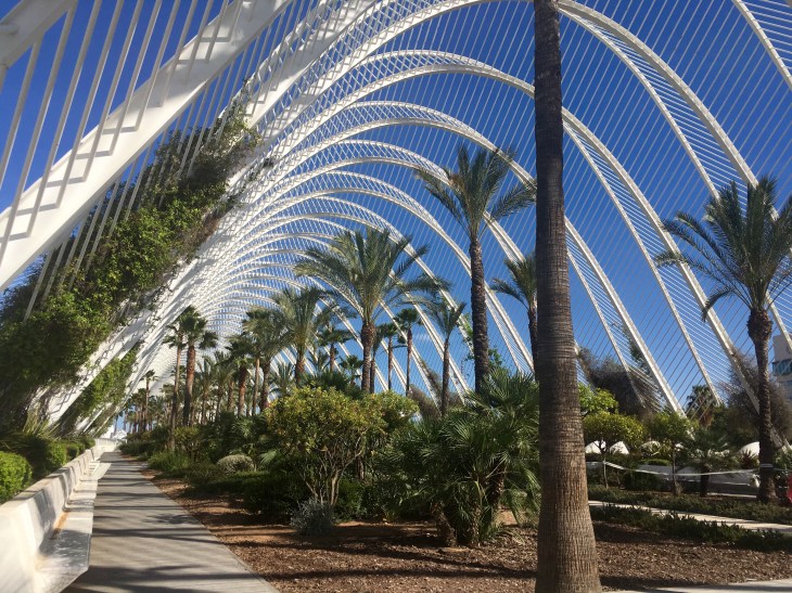 5EAB29F6-784A-4505-AFEE-C19A6538CD56