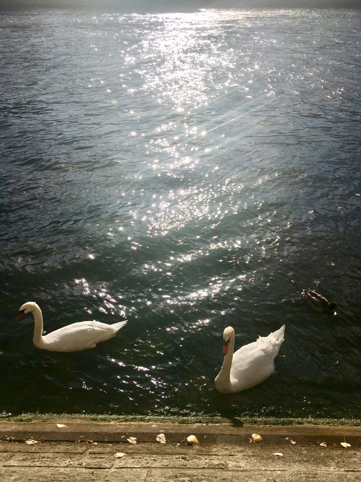 A04D073C-7A46-436F-AF19-21D5FADFE74D