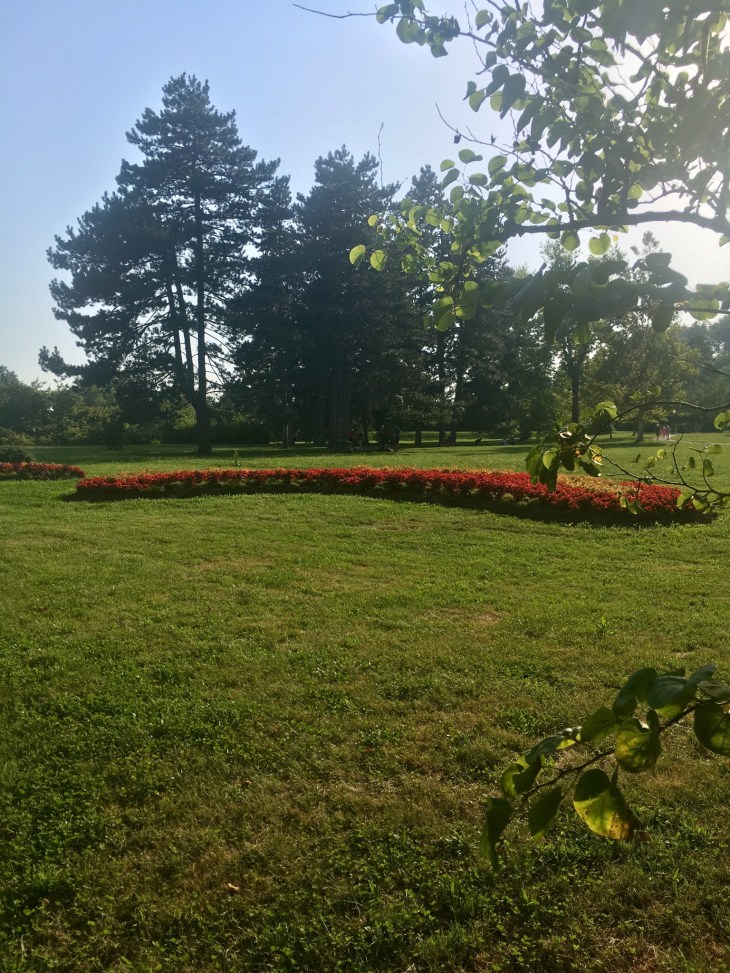 0BCAE5FC-0ED7-431A-BC00-39A143770691