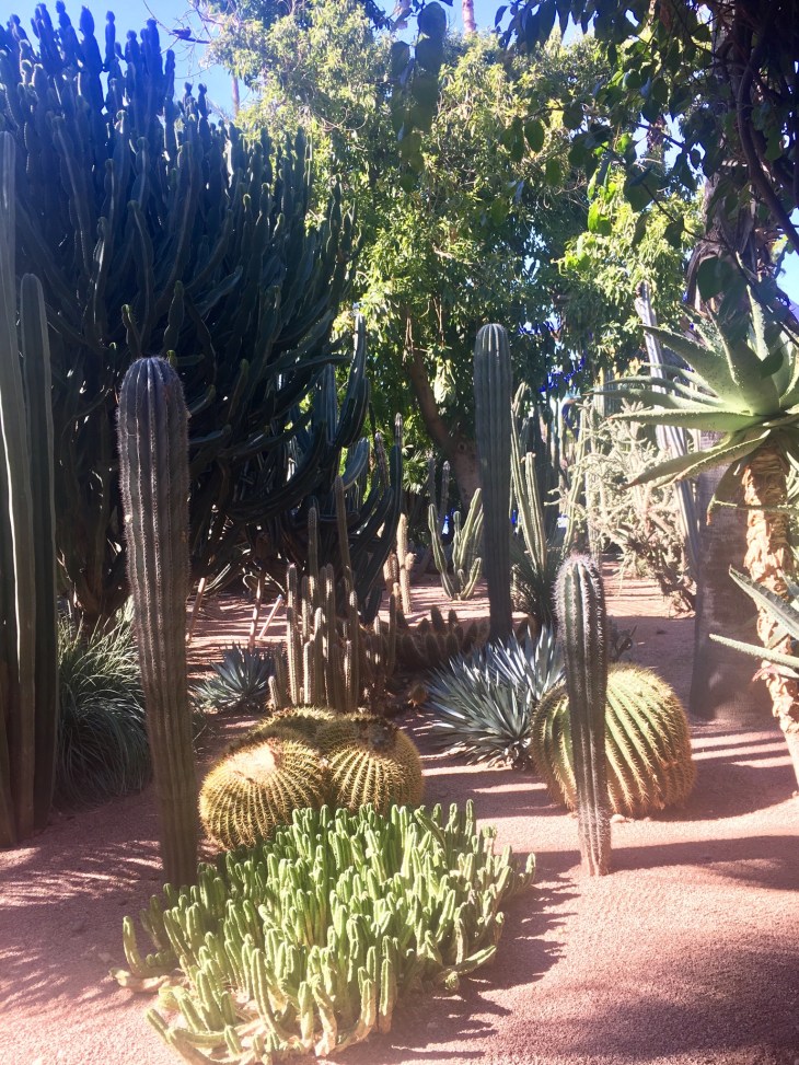 630DA355-2B07-4EC9-8AC2-0E8BAE22A717