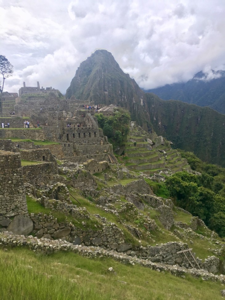 C56EA640-A93D-44CE-A017-CA975849896C