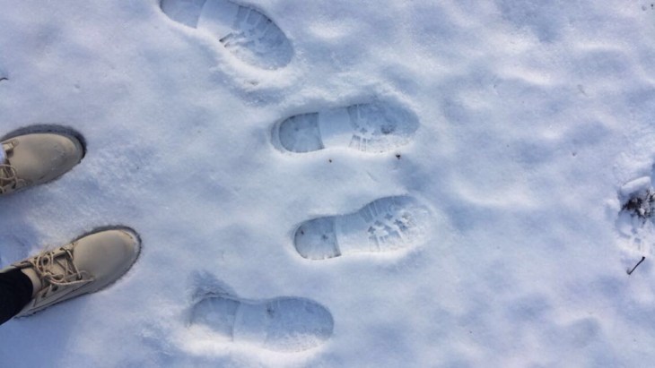 EDE259FA-90A8-4D1E-9A63-2BF655BAB67C