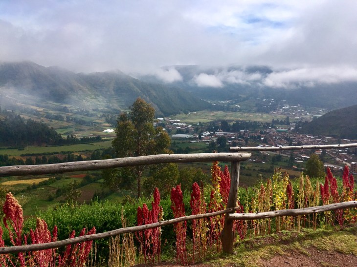 F765A55E-2314-4F46-94CE-1CD7F34C834A