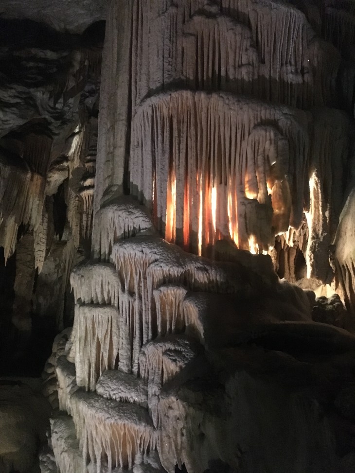 F8E8C532-922C-46CB-981B-A8733861E81C