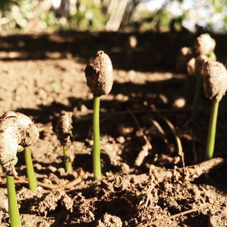 03CF531E-5679-4442-8072-32441702DAEB