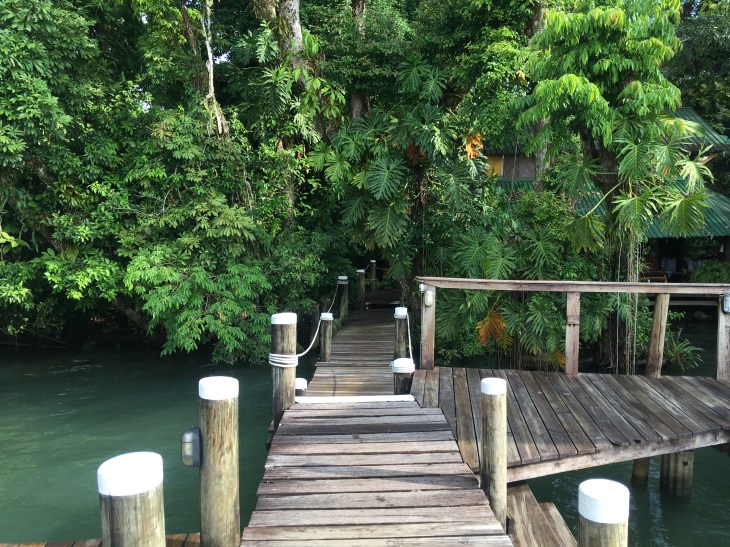 0B369E47-934A-4F2F-8F64-D21AF75B5A3A