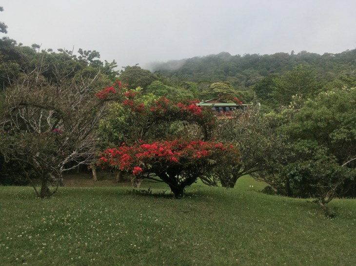 125281A2-FACD-43D5-8287-4A9CA8474A09