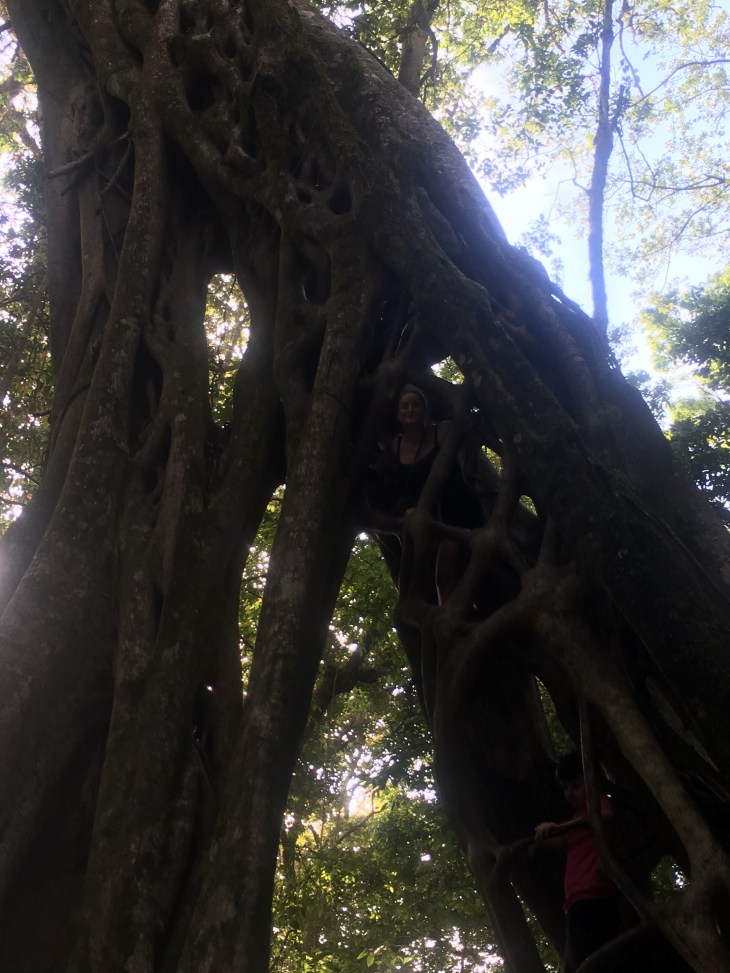 24D2C485-D2FB-4DDA-B133-6EDB0960CCEC