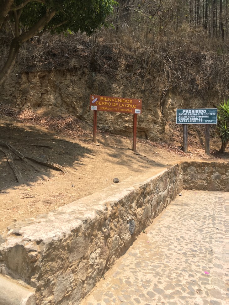 30FBFB77-4FD6-4F0C-8B71-4CC7C58E6AE6