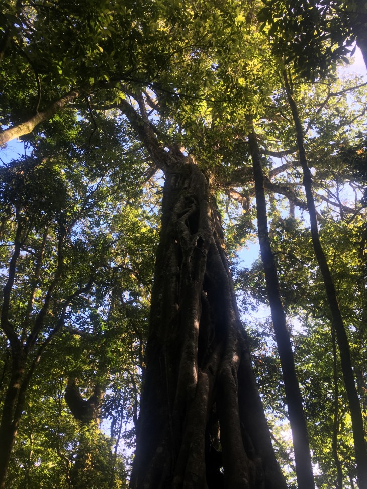 37F7CFC0-20AB-40CE-B5B9-B1488C50F9E7