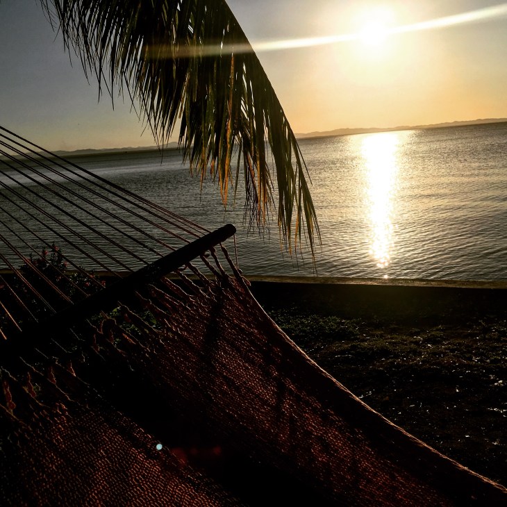 42F1F746-CEC4-42BD-BD48-D1CFCCB5440D