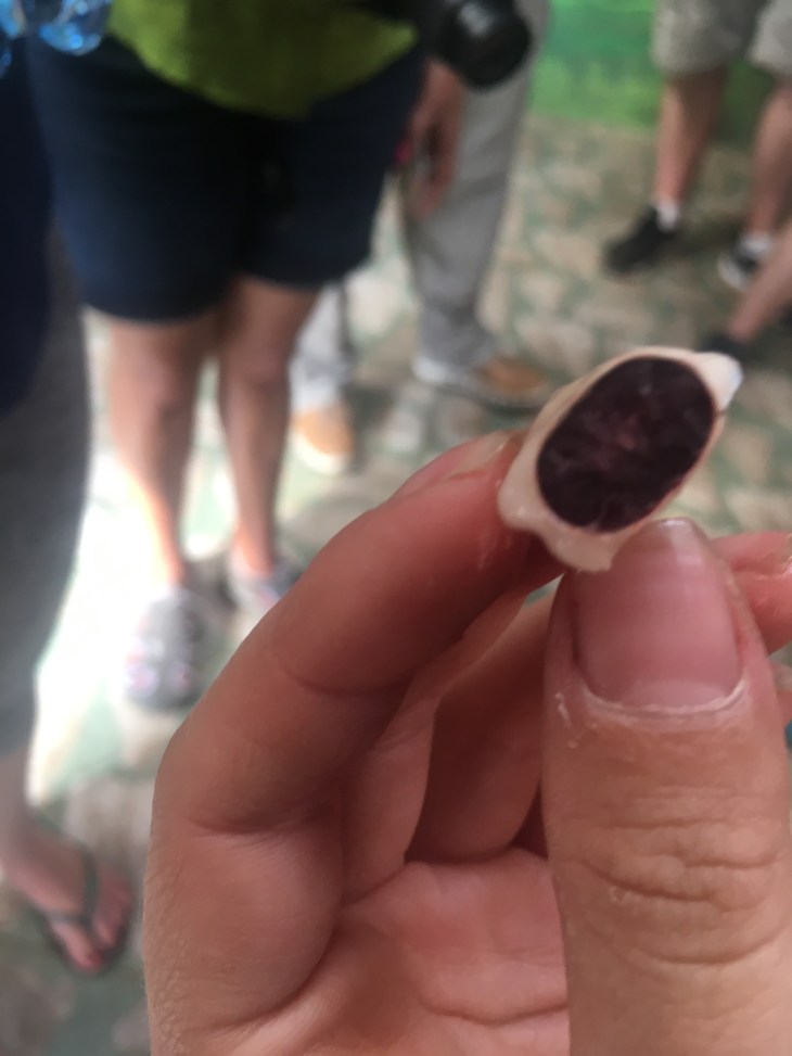 43350489-C832-4B1B-BE11-DF7FB0AC63C3