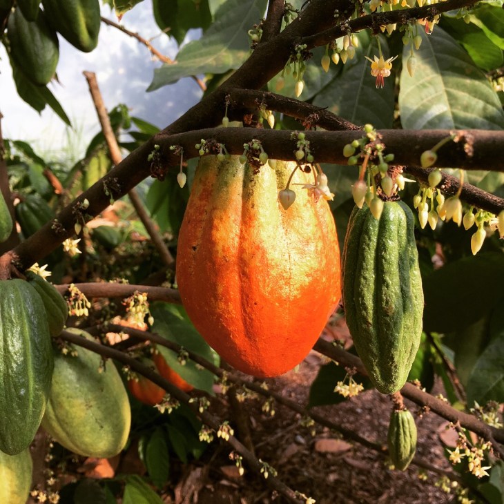 5984DF8B-400D-4CDE-AC8C-DDB4DEBD610B