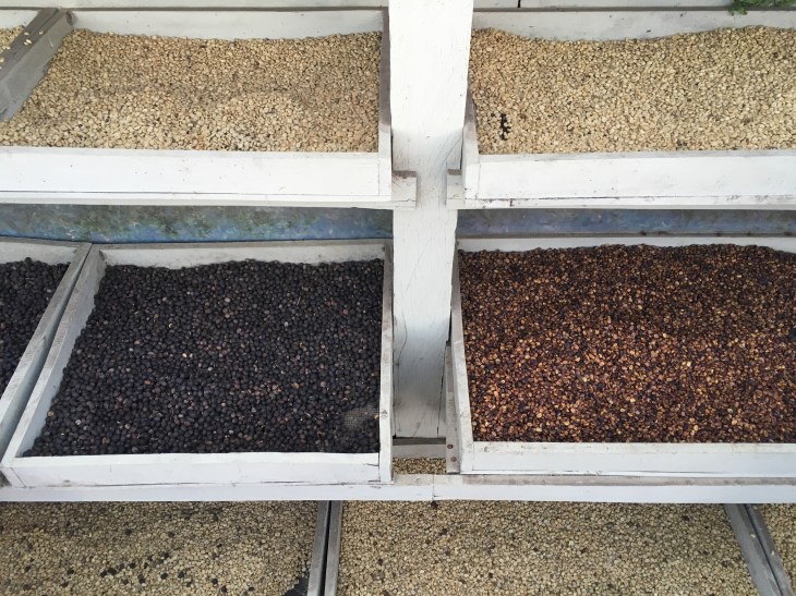 6A0AC293-62A8-4D58-8F27-8E0369EC8C52