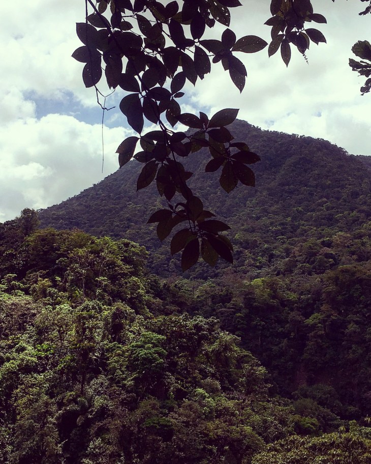 71195E92-3699-4D73-9466-D2DC460C6A9A