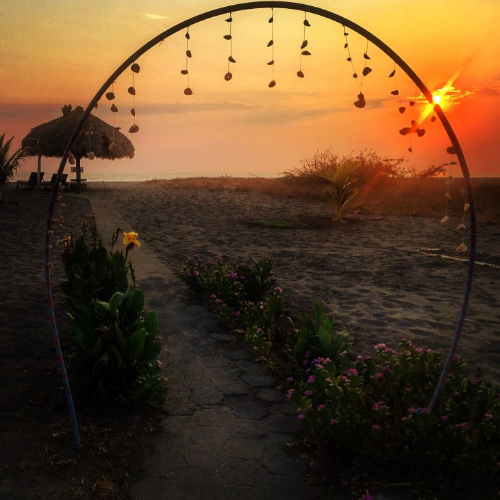 99D67E61-86EB-43AF-A916-9497B669186D