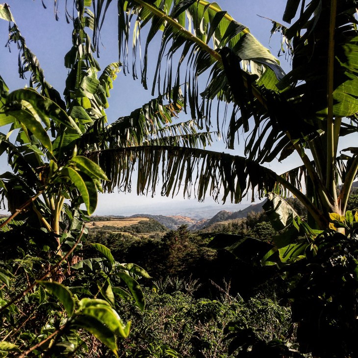 B74FA8D7-04AB-40E3-AFBE-A8230607EE5F