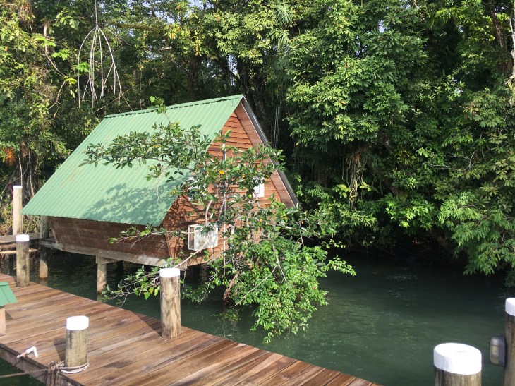 C3BE9E13-7211-4877-9F64-38F6427D283D