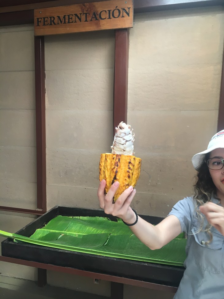 C9D70351-97C0-4BB0-B36B-B77B47F8EDC6