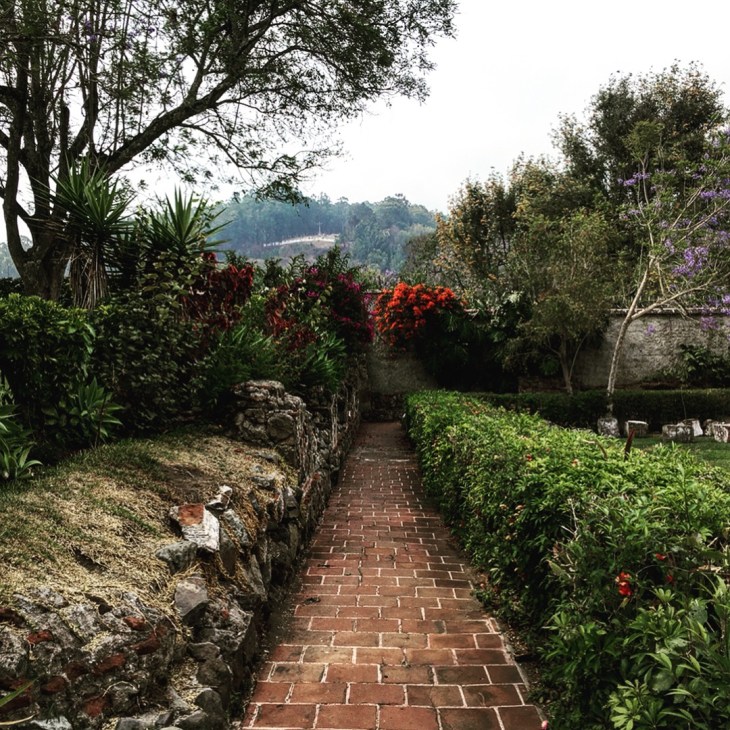 D362FC6A-049A-430A-9F1F-0D6683EEAB2F