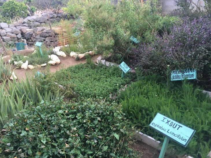 E3EEC7BD-5207-4A40-B0F4-2741A0E8D6BF