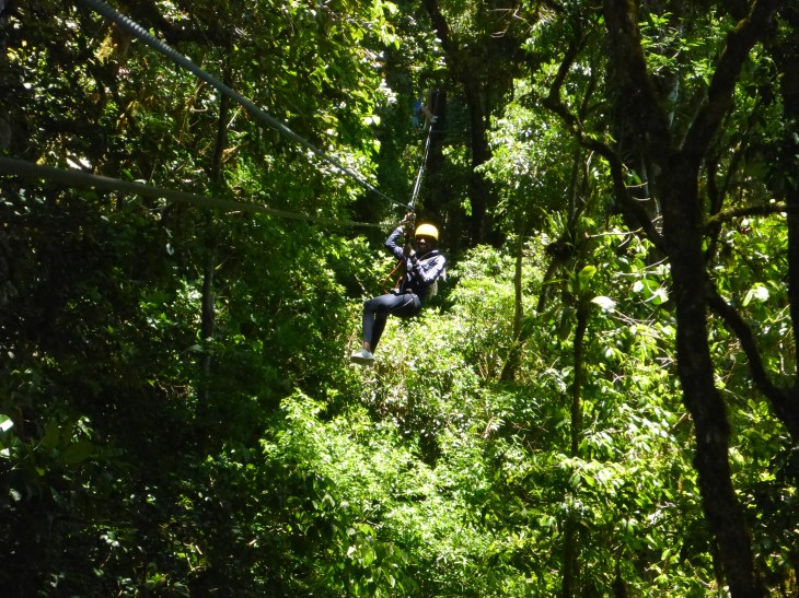 EA384308-D235-4FD7-95C8-064E4CFB56A1