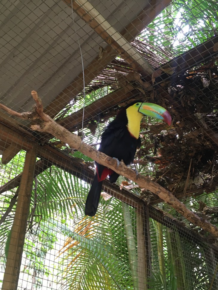 05BDA86D-7C6F-4A9B-9581-22315B7B53DF