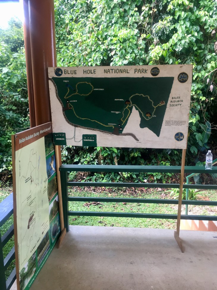 146E7F94-8290-4383-AA75-88637E8FE80C