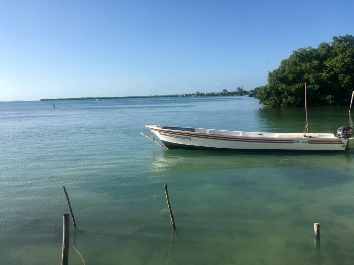 9A20357E-54B7-430A-B8FD-350D7362EBD2