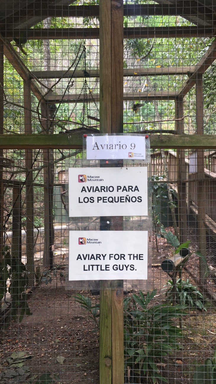 9BCF174D-484D-486E-91A4-7FAE7A1941C4