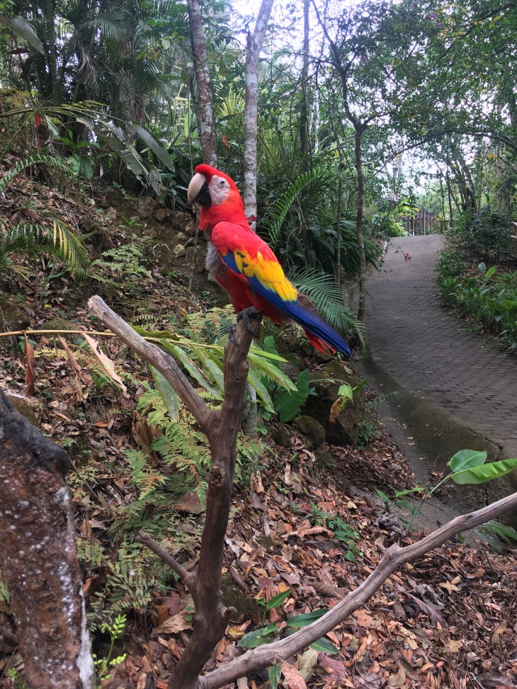 B9C74CA9-5FC0-4B4D-96CE-9B8EA5347302