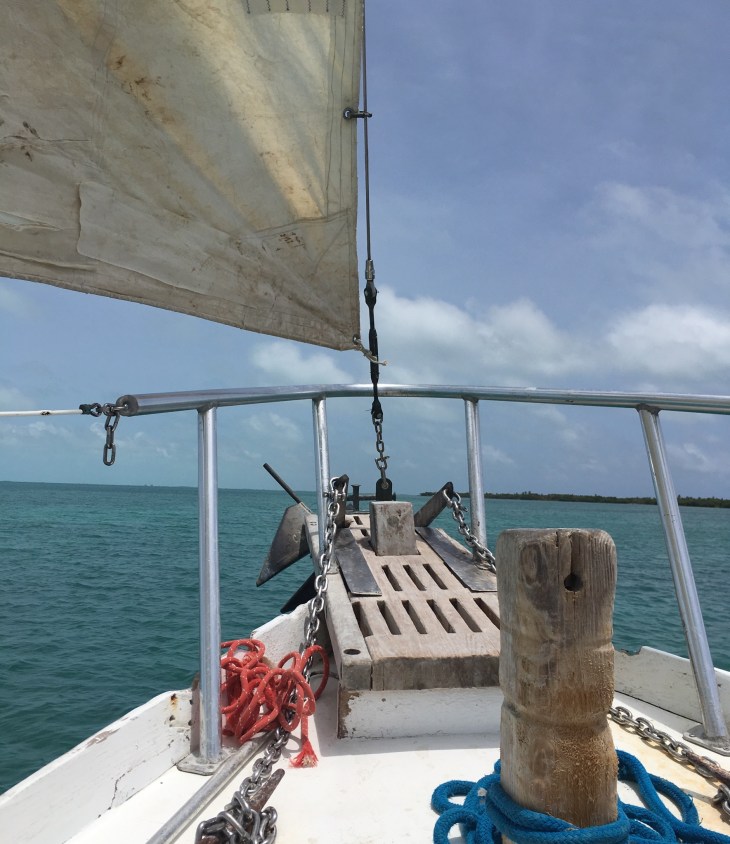 C3772FBE-B101-431D-BB7C-D5871C9FFC31