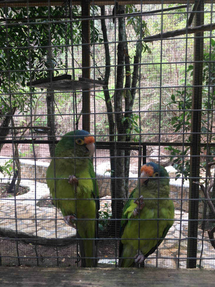 C6427BA2-0E24-4291-B7EC-25D3F3CF5ADE