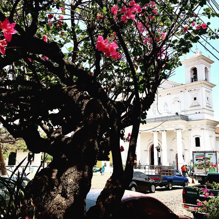 E6DC7E1B-49DF-4709-A0F1-1D16C79FDD0C