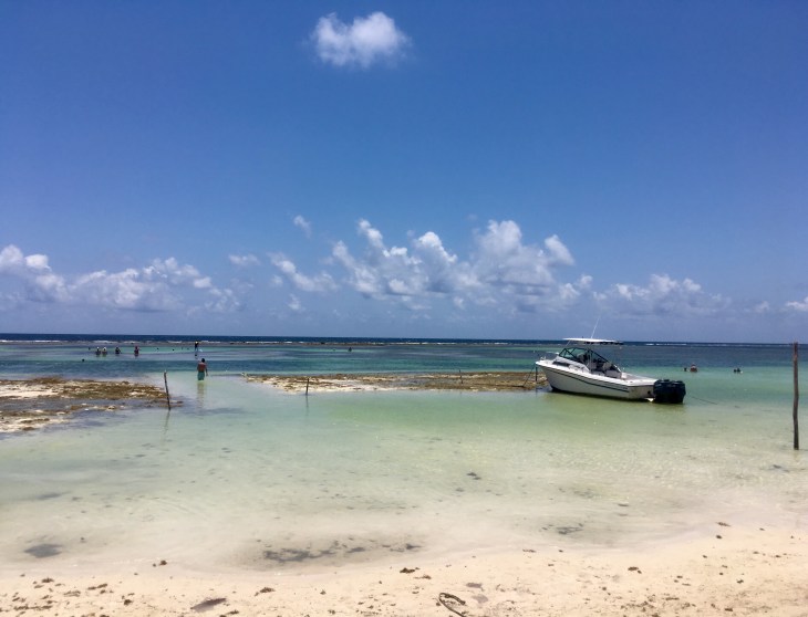 55C1D653-603E-4B94-A970-85BE3A31C70E