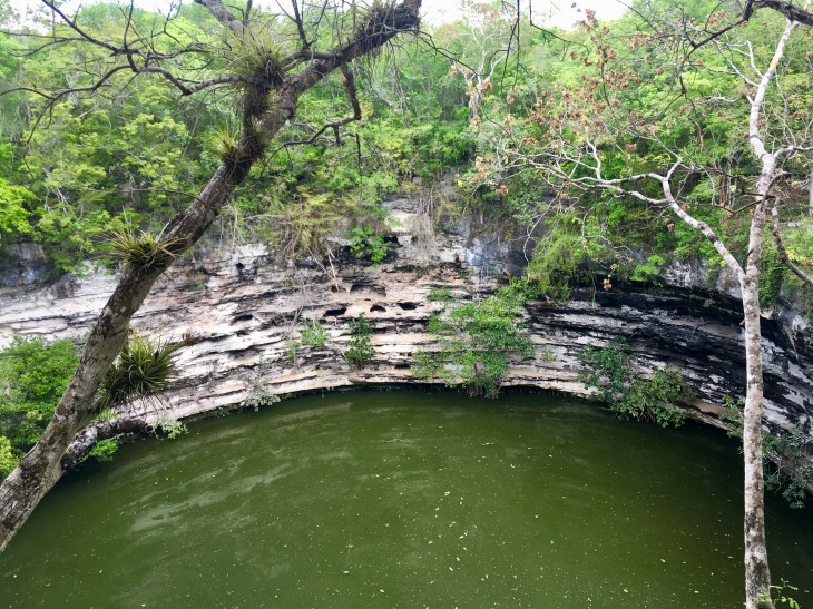 961023EB-A200-43A9-A7E2-870269E9C6C1