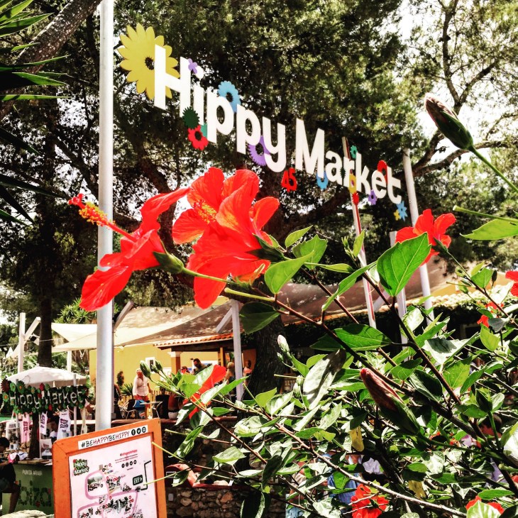 0CD5DF2F-90FF-46B4-AA79-6E7EAF2B228B