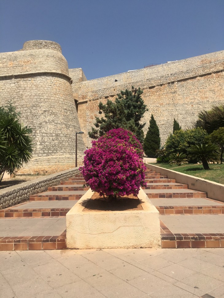 0E739456-50D6-499B-B75B-16C6BF22718D