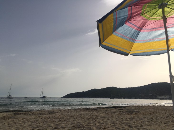 AF6E95F3-3C84-4C97-95BB-13642303D947