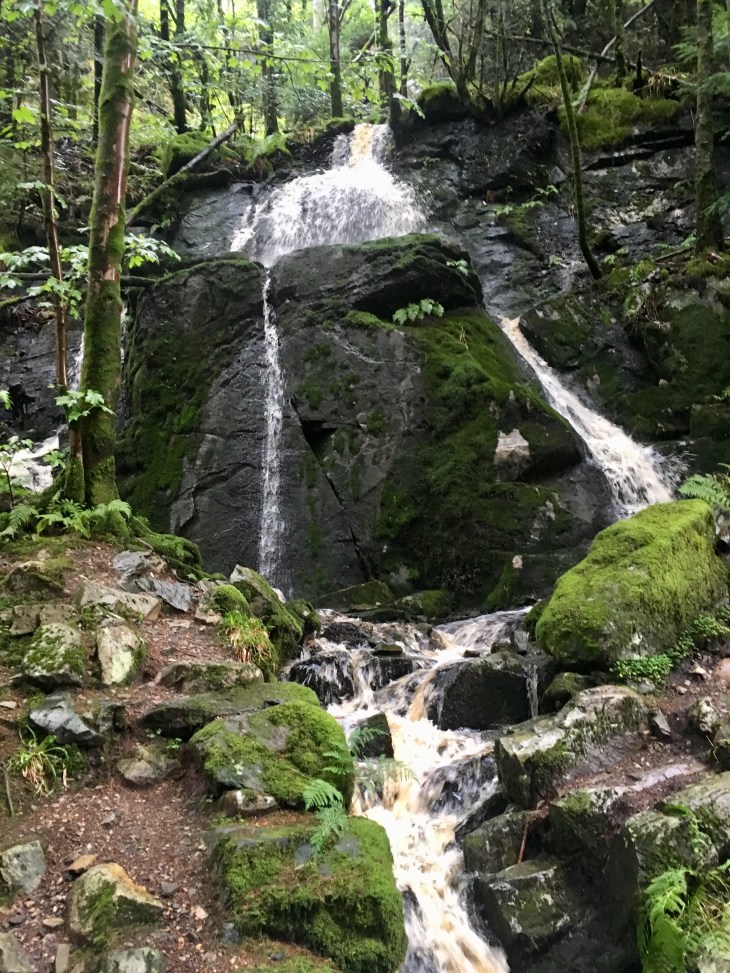 6E0EC7A7-B7ED-44E7-8DF6-16F0F569F565