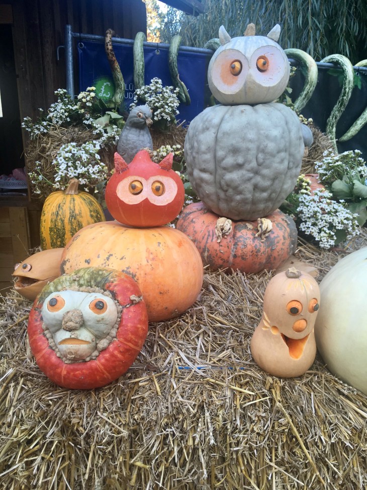 F754F44F-5BAB-4609-81AE-438E08AB2D4B