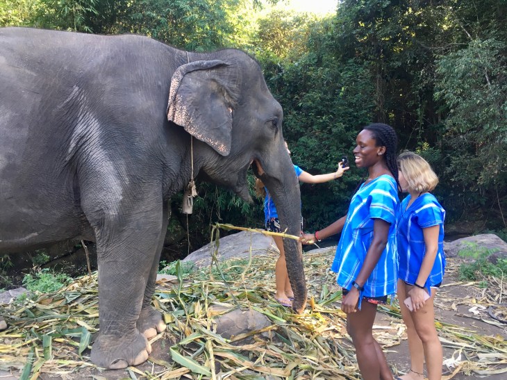 e4584e8e-9e2f-4bcc-b0e0-5afd32b38de7