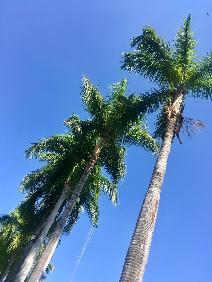 e68a4014-5e32-4629-bd2a-3a18dcc71382