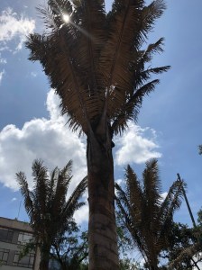 181340AE-6341-4015-AC02-DBDC4F7A0FB8